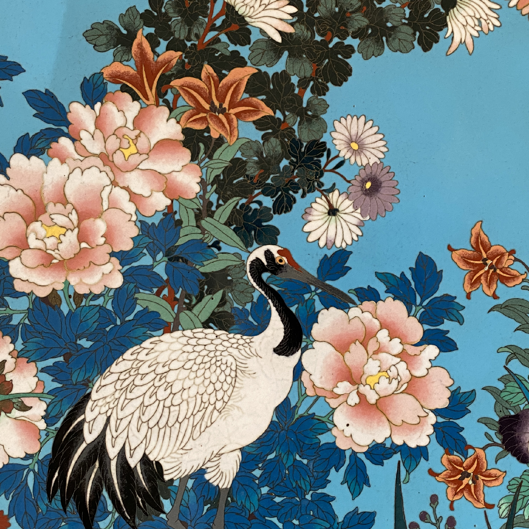 Japon, trs grand plat en maux cloisonn, XIXe sicle.